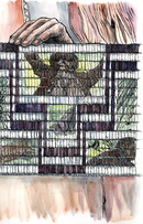 Ghost River: The Fall and Rise of the Conestoga