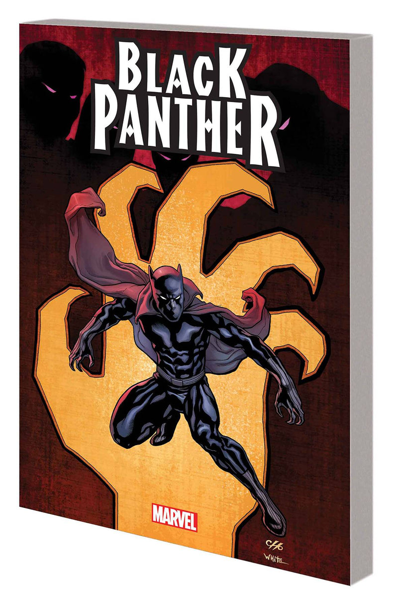 Black Panther By Reginald Hudlin The Complete Collection TP Vol. 1